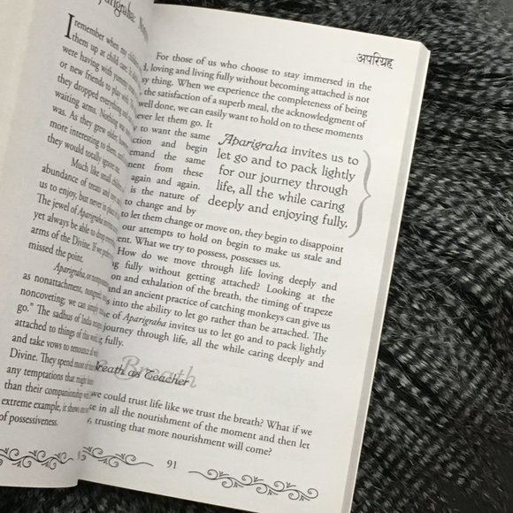 'The Yamas And Niyamas' Softcover By Deborah Adele - Picture 3 of 5